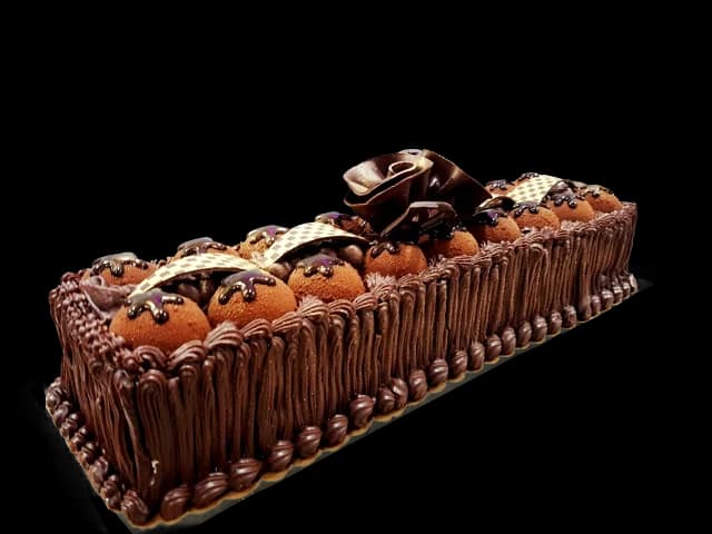 Premium Chocolate Dome Log