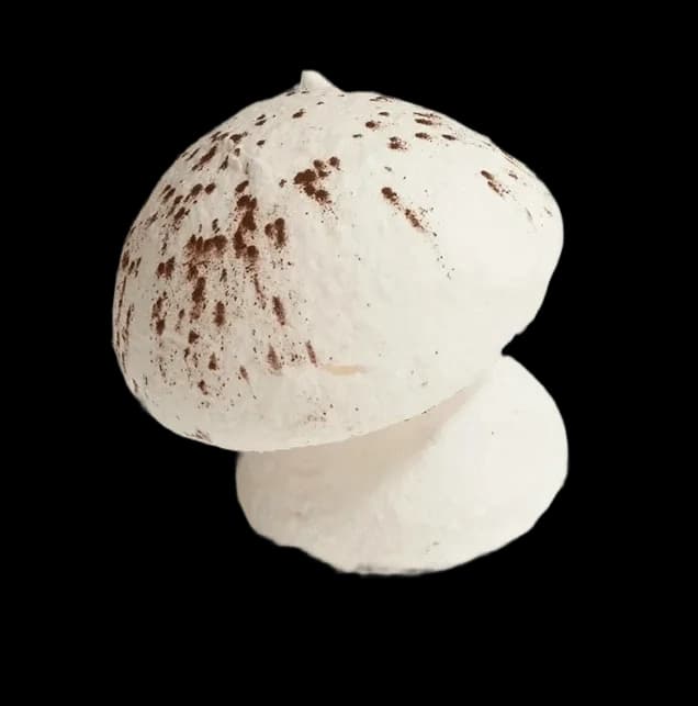 Meringue Mushrooms